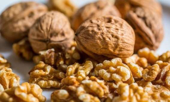 nuts-567x340