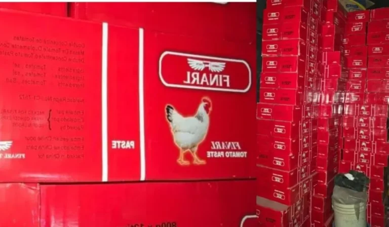 fake-tomato-paste-860x502.jpg
