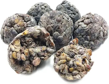 African-locust-bean.jpg