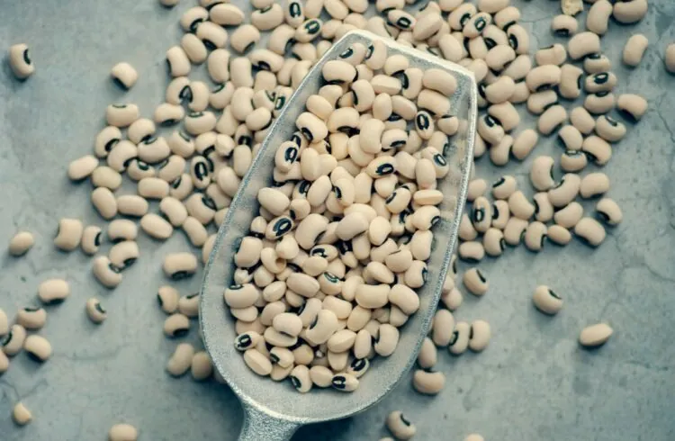 Beans-750x490.jpg