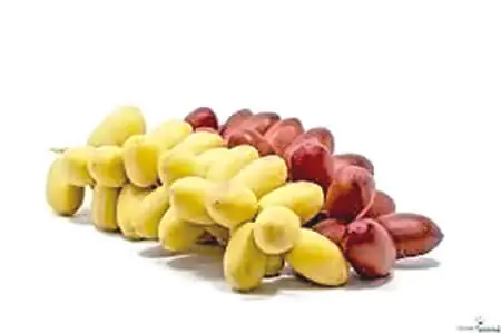 Date-fruit.jpg