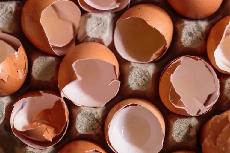 Eggshells-860x573.jpg