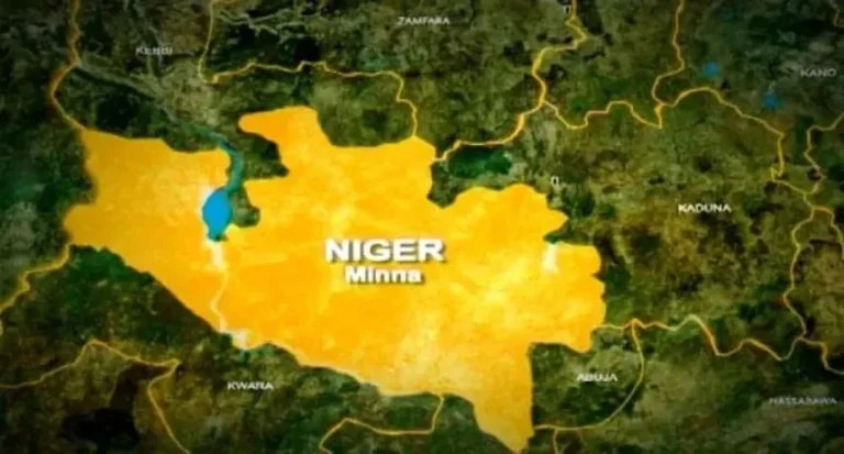 Niger-map-1-860x463.jpg