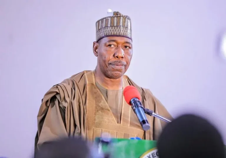 Zulum-860x600.jpeg
