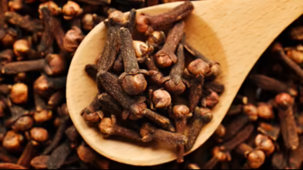 clove