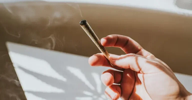 hand-holding-rolled-up-cannabis--860x450.jpg