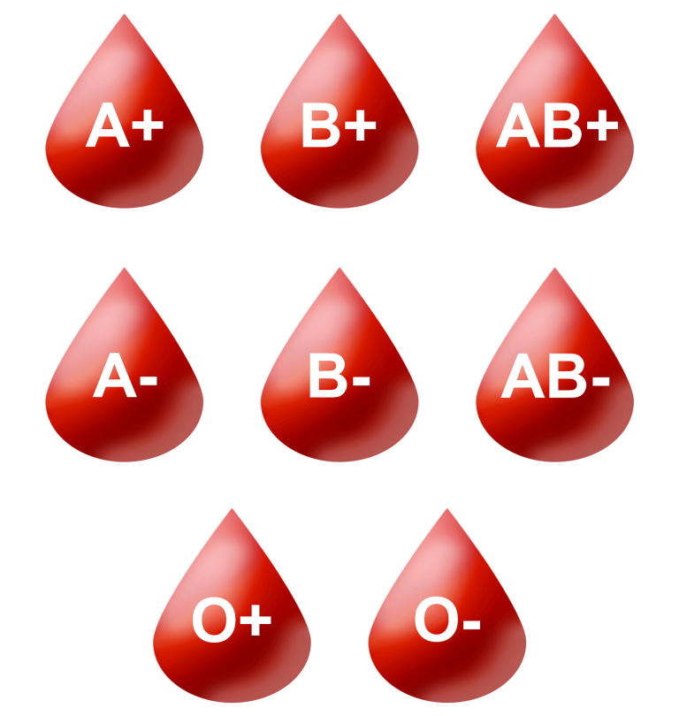 ptcaa6-blood-types1-768x810