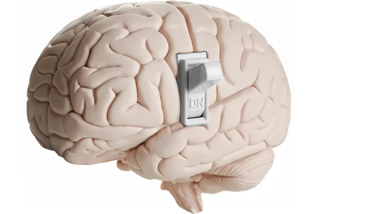 brain-switch