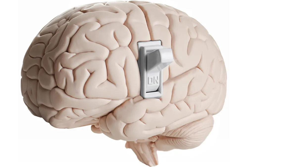 brain-switch
