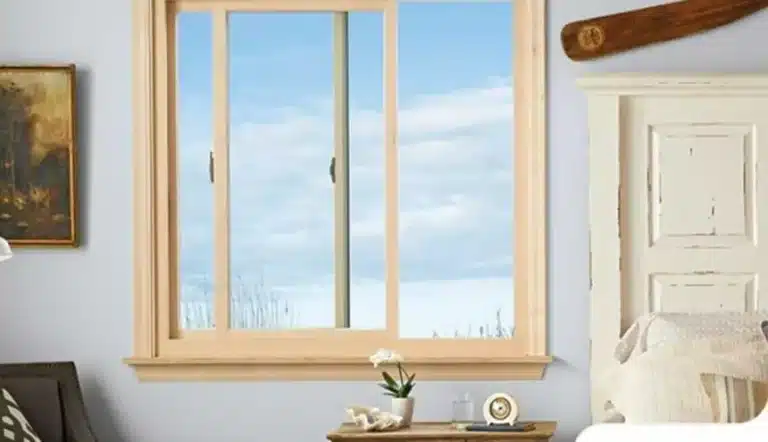 WINDOW-1-860x495.jpg